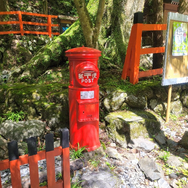 f:id:atoriatoriatori:20240719094512j:image