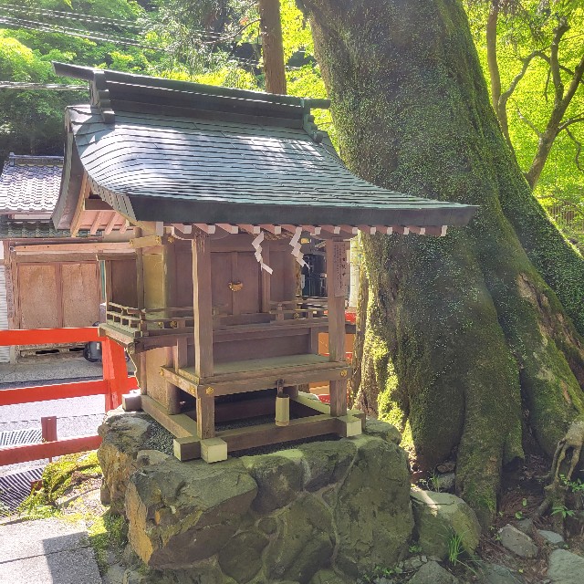 f:id:atoriatoriatori:20240719100211j:image