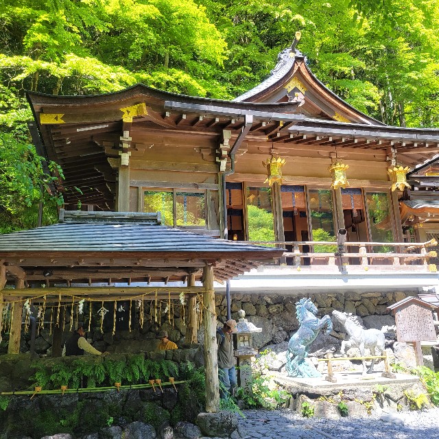 f:id:atoriatoriatori:20240719112006j:image