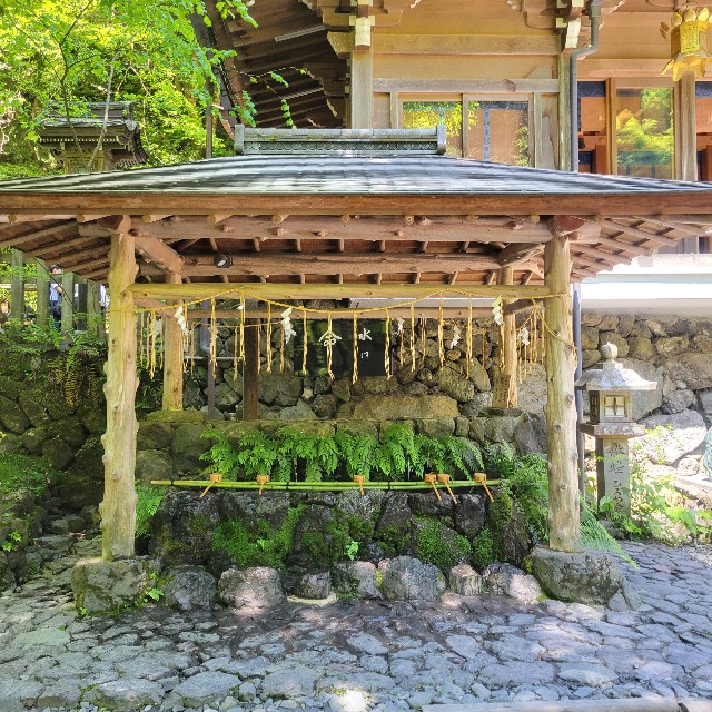 f:id:atoriatoriatori:20240719112013j:image