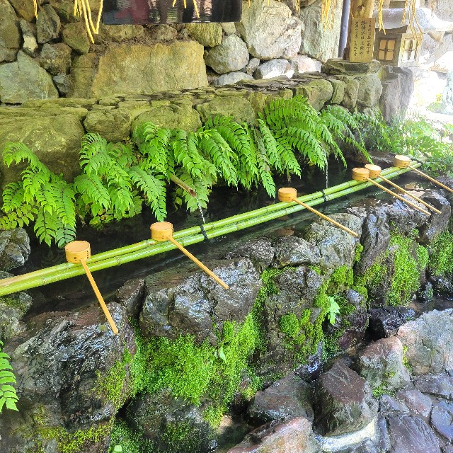 f:id:atoriatoriatori:20240719112019j:image