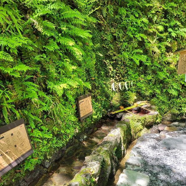 f:id:atoriatoriatori:20240719115417j:image