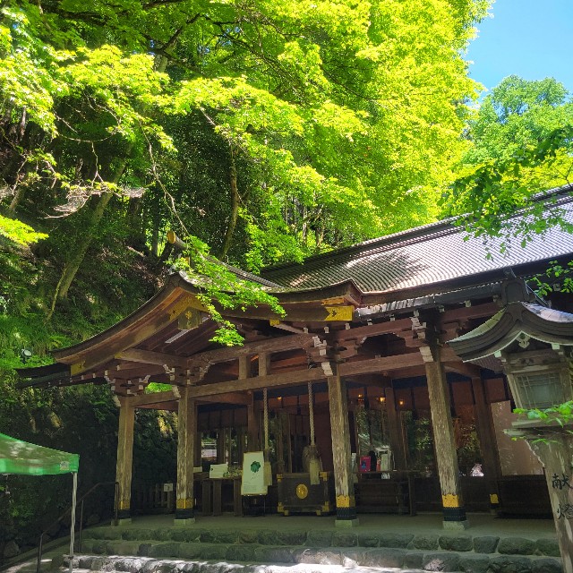 f:id:atoriatoriatori:20240719115717j:image