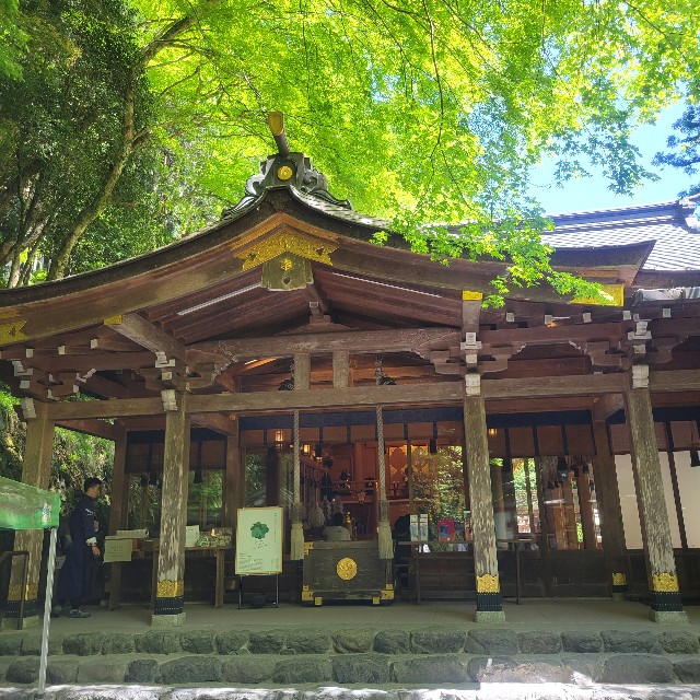 f:id:atoriatoriatori:20240719115724j:image