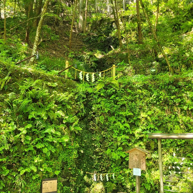 f:id:atoriatoriatori:20240719120432j:image