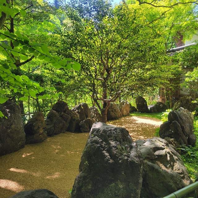 f:id:atoriatoriatori:20240719131840j:image