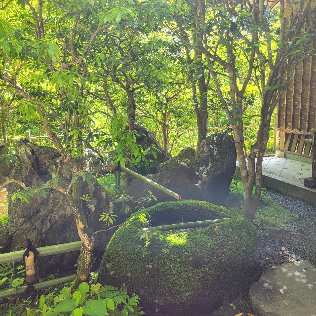 f:id:atoriatoriatori:20240719131848j:image