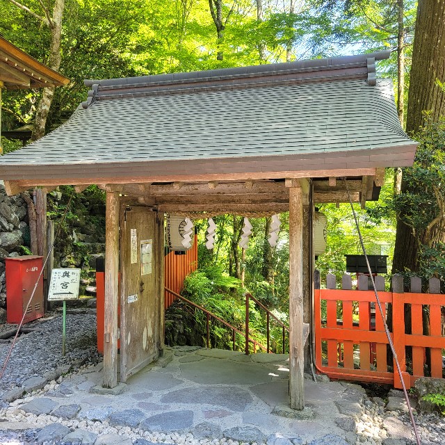 f:id:atoriatoriatori:20240719132259j:image