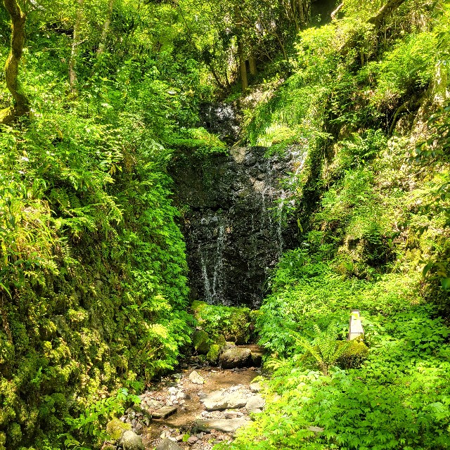 f:id:atoriatoriatori:20240719132358j:image