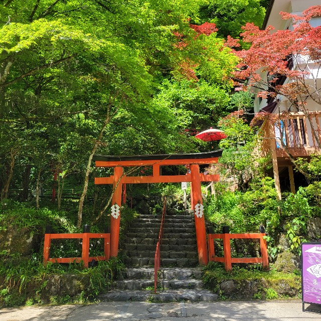 f:id:atoriatoriatori:20240719132547j:image