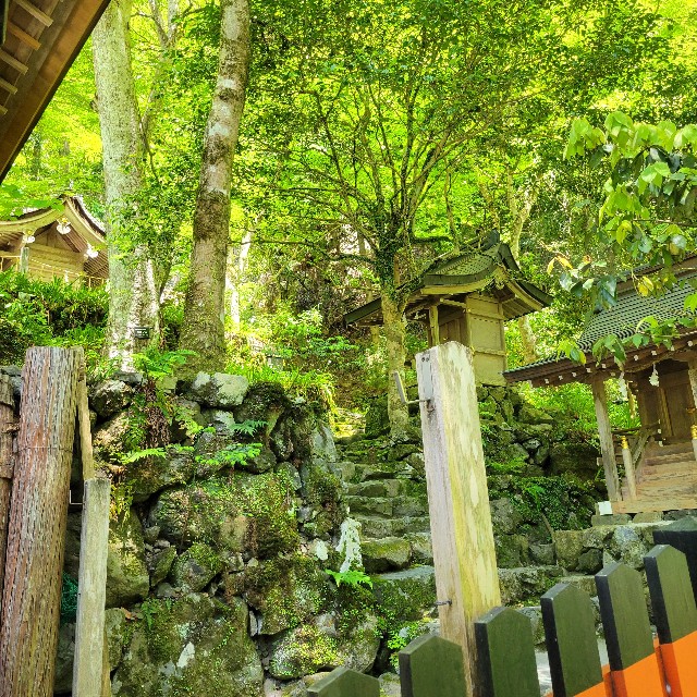 f:id:atoriatoriatori:20240719141848j:image