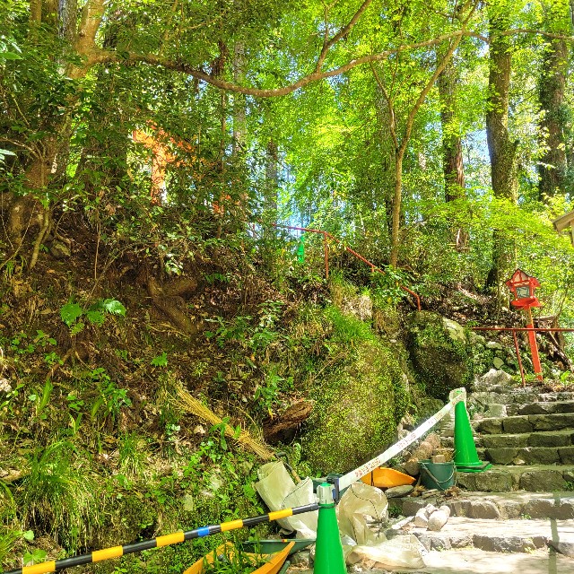 f:id:atoriatoriatori:20240720135859j:image