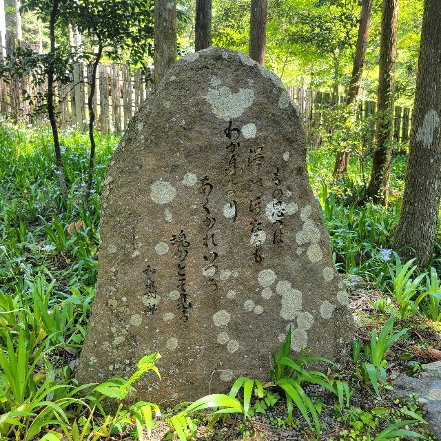 f:id:atoriatoriatori:20240720144653j:image