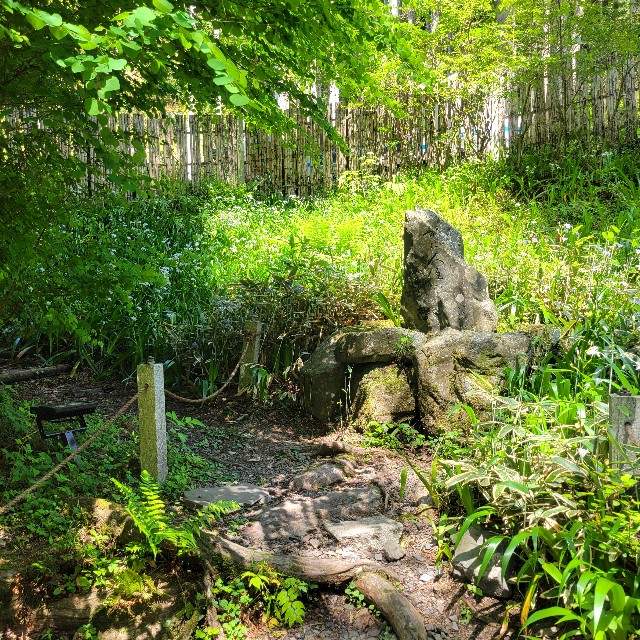 f:id:atoriatoriatori:20240720144701j:image