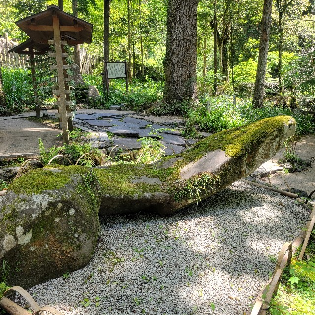 f:id:atoriatoriatori:20240720151359j:image