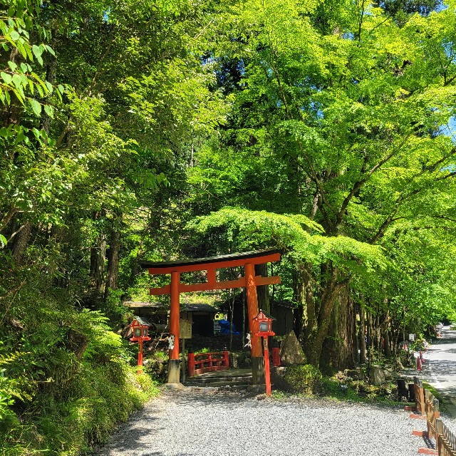 f:id:atoriatoriatori:20240721191759j:image