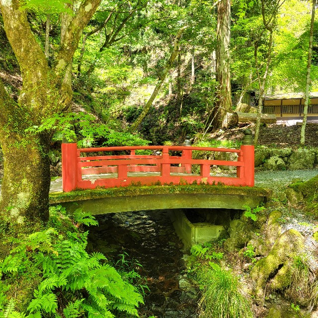 f:id:atoriatoriatori:20240721191807j:image