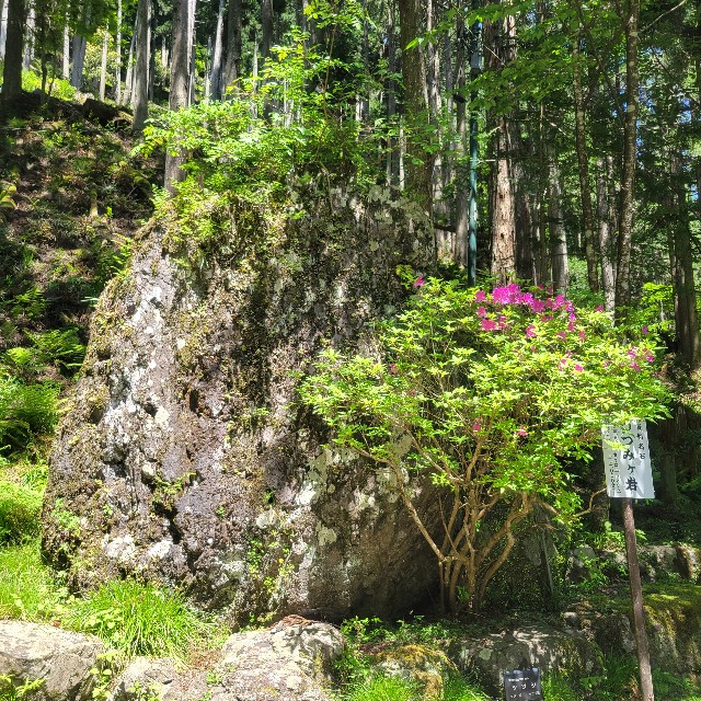 f:id:atoriatoriatori:20240721191814j:image