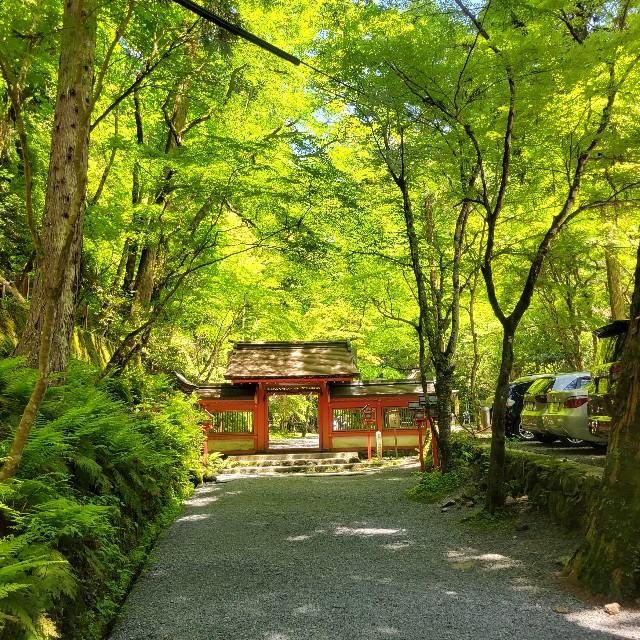 f:id:atoriatoriatori:20240721192628j:image