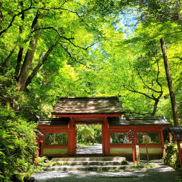 f:id:atoriatoriatori:20240721192636j:image