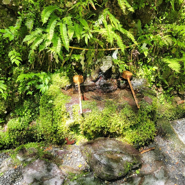 f:id:atoriatoriatori:20240722083446j:image