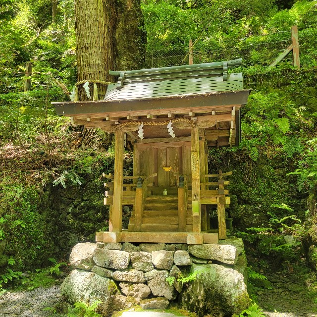 f:id:atoriatoriatori:20240722083457j:image