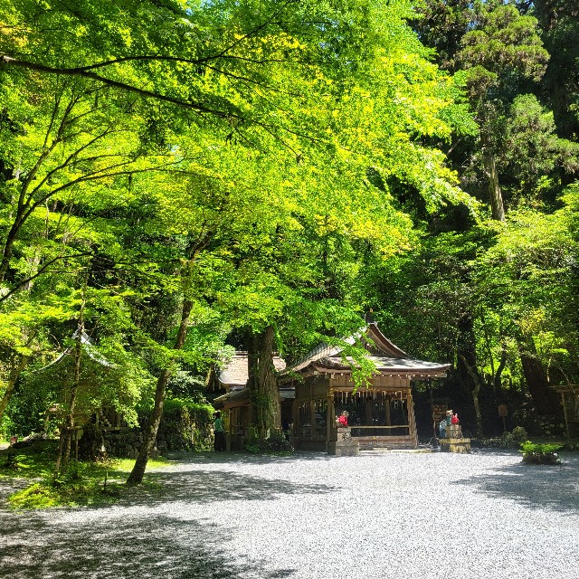 f:id:atoriatoriatori:20240722083505j:image