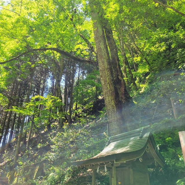 f:id:atoriatoriatori:20240722083511j:image