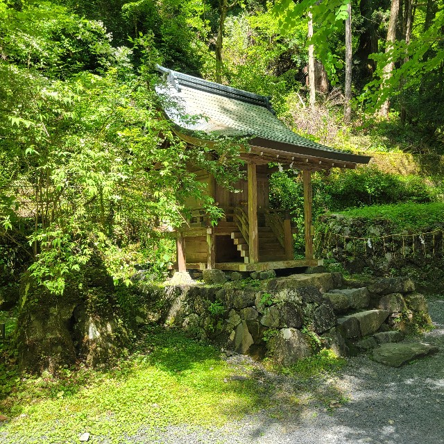 f:id:atoriatoriatori:20240722083821j:image