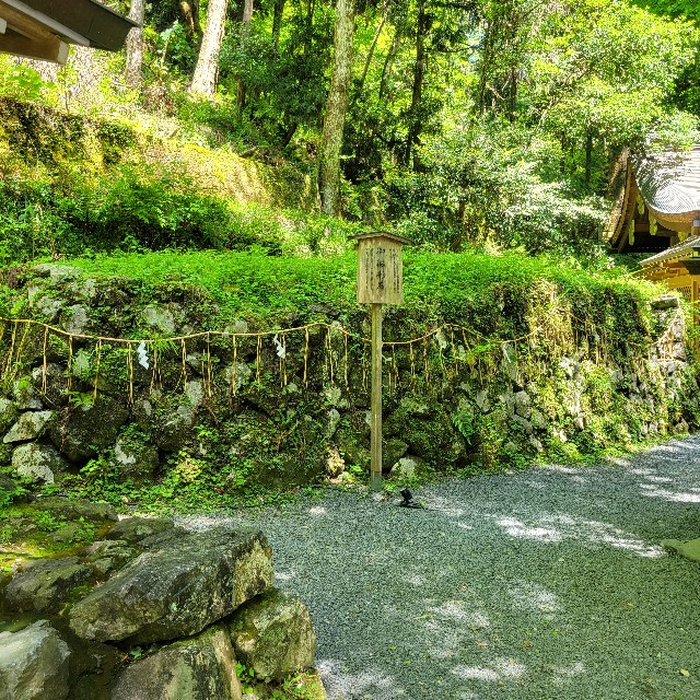 f:id:atoriatoriatori:20240722083844j:image