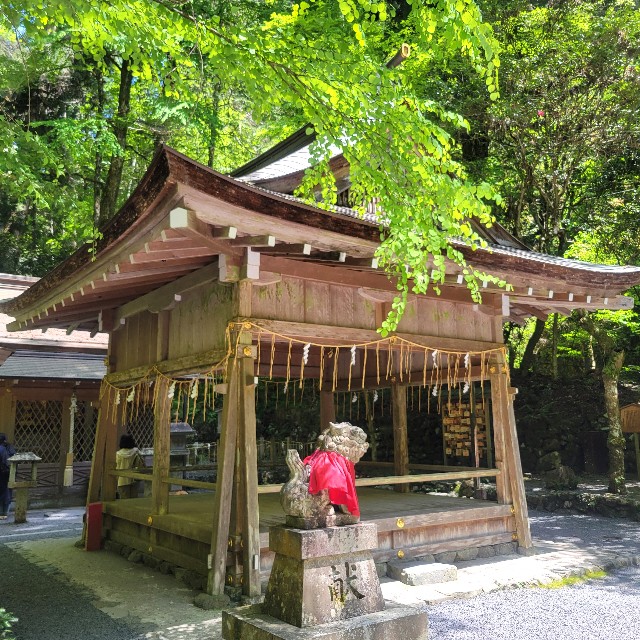 f:id:atoriatoriatori:20240722093052j:image