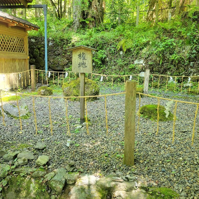 f:id:atoriatoriatori:20240722093105j:image