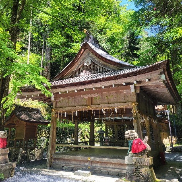 f:id:atoriatoriatori:20240722094024j:image