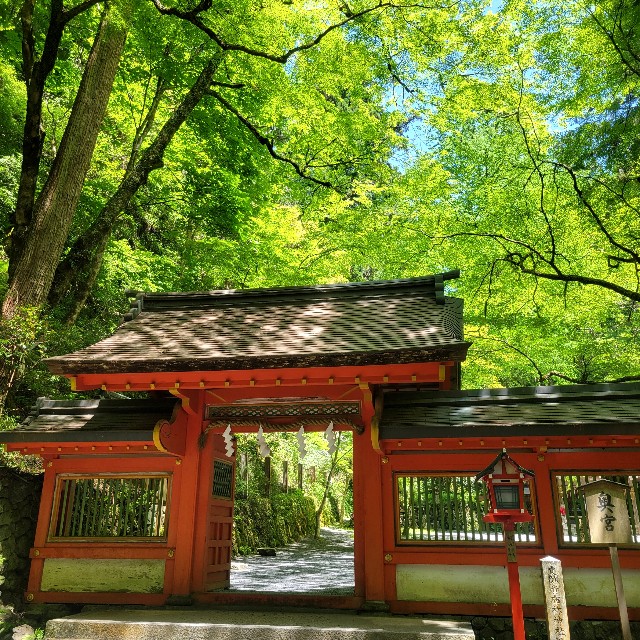 f:id:atoriatoriatori:20240722094047j:image