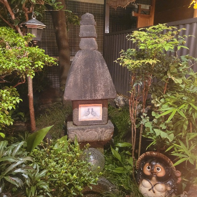 f:id:atoriatoriatori:20240731083411j:image
