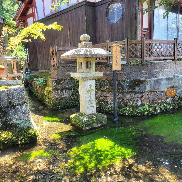 f:id:atoriatoriatori:20240807213208j:image