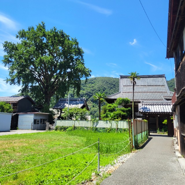 f:id:atoriatoriatori:20240807214309j:image