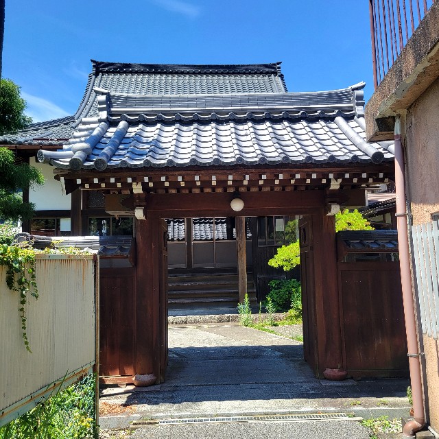 f:id:atoriatoriatori:20240807214553j:image