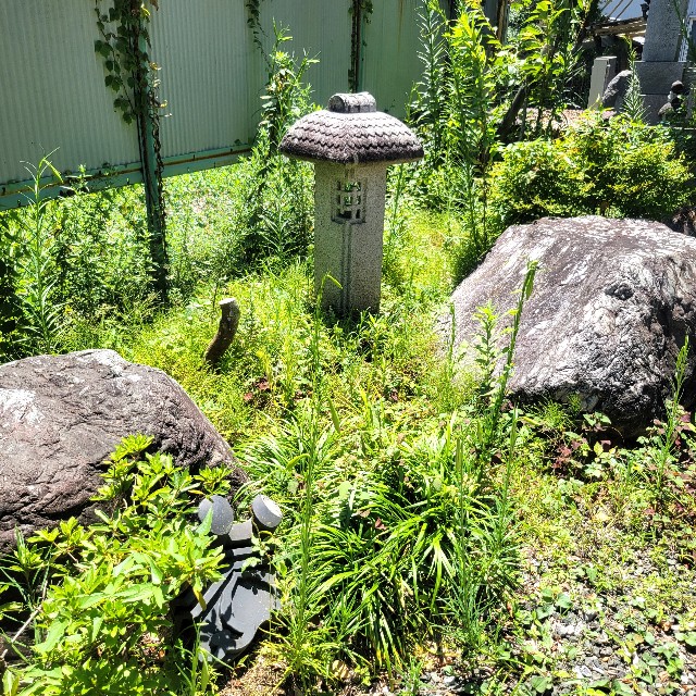f:id:atoriatoriatori:20240807223352j:image