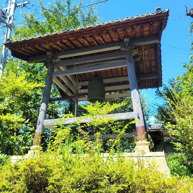 f:id:atoriatoriatori:20240808085151j:image