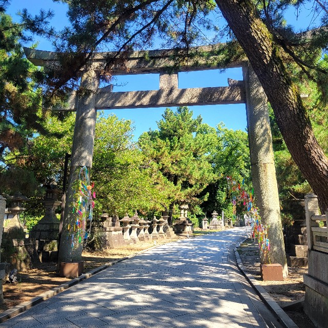 f:id:atoriatoriatori:20240813155336j:image