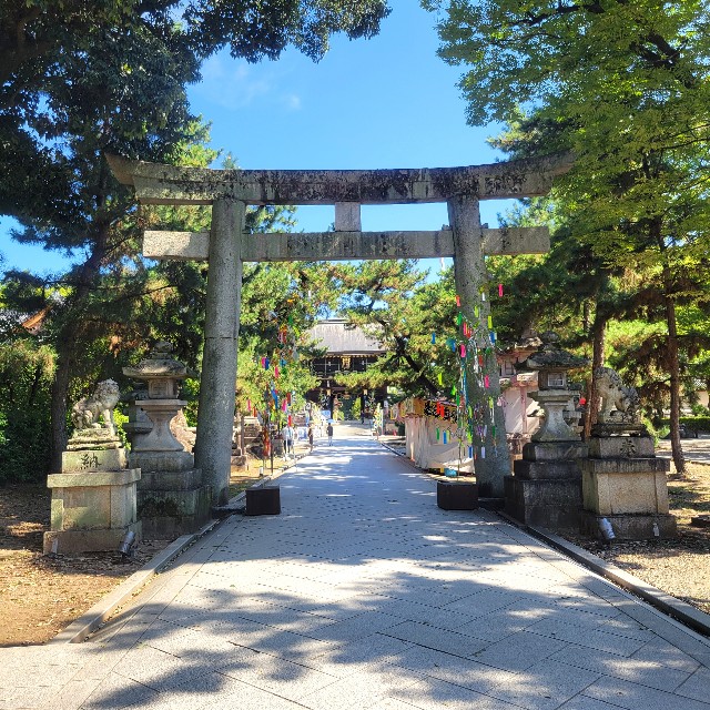 f:id:atoriatoriatori:20240813155343j:image