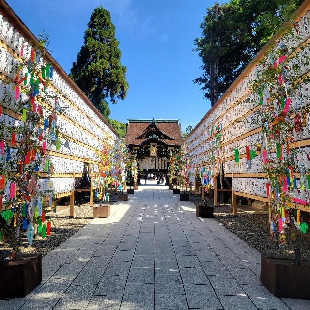 f:id:atoriatoriatori:20240813173736j:image