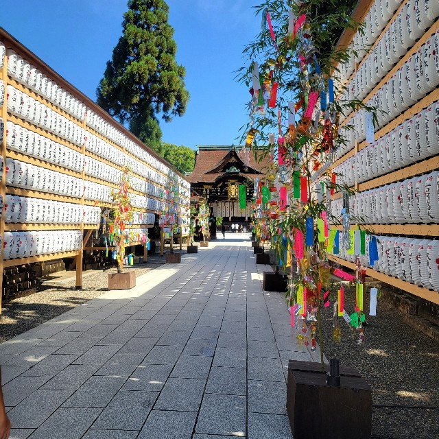 f:id:atoriatoriatori:20240813174258j:image
