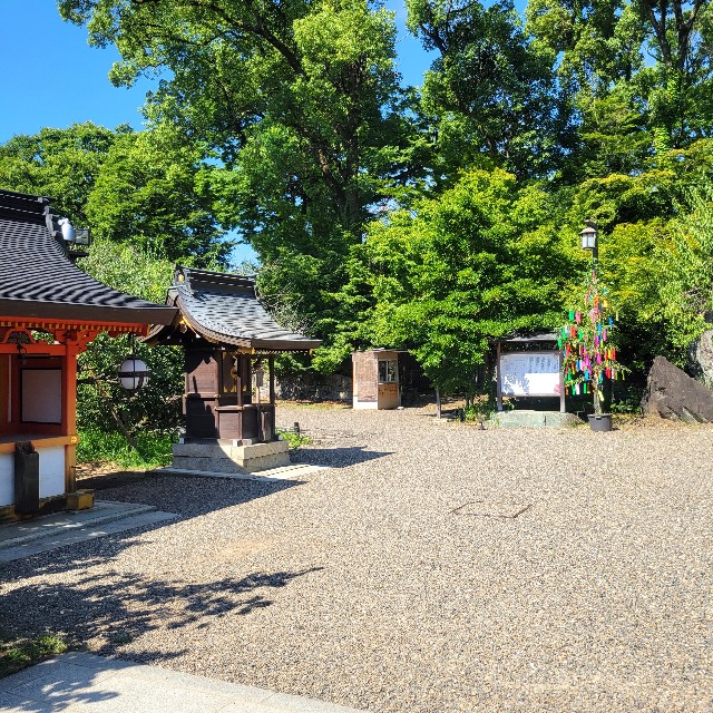 f:id:atoriatoriatori:20240814093007j:image