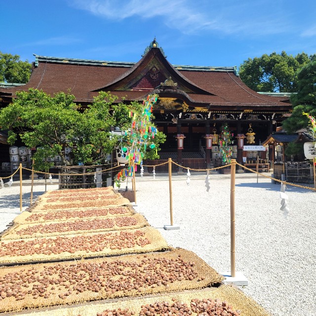 f:id:atoriatoriatori:20240814095934j:image