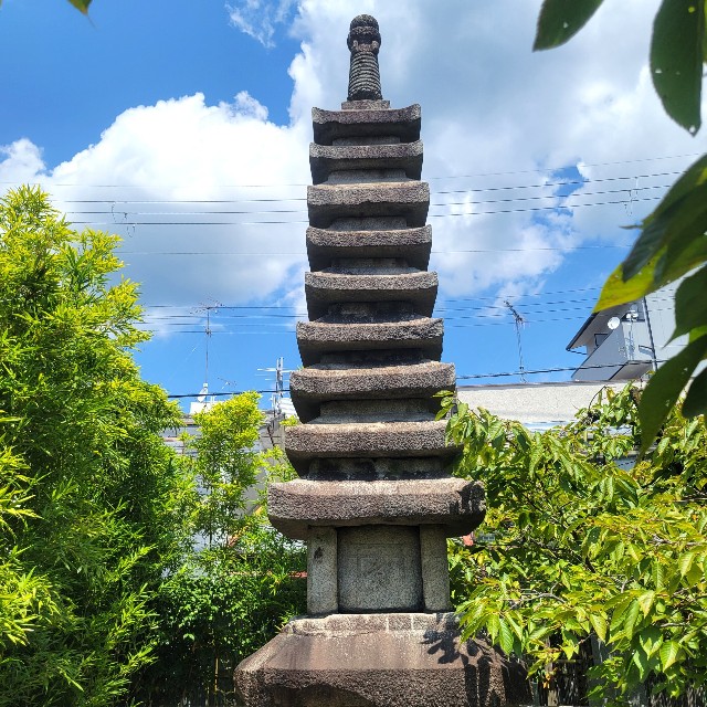 f:id:atoriatoriatori:20240816080537j:image