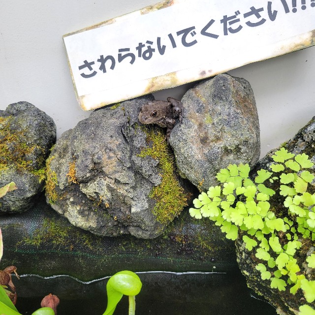 f:id:atoriatoriatori:20240828092232j:image