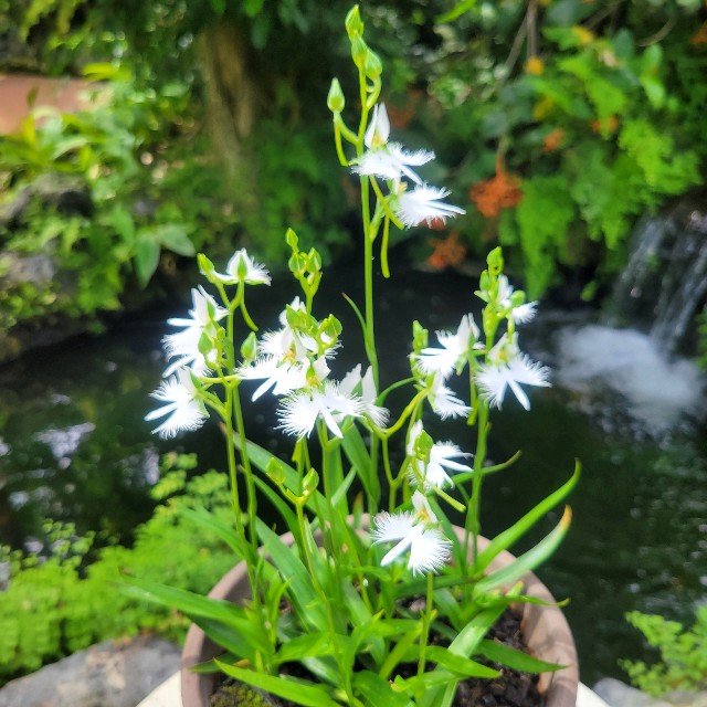 f:id:atoriatoriatori:20240828101318j:image