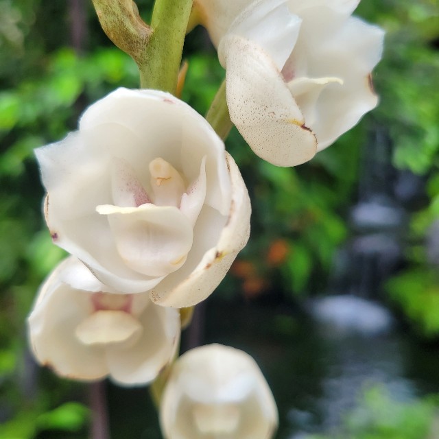 f:id:atoriatoriatori:20240828101806j:image